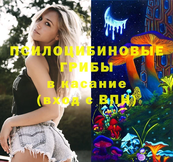 круглые Алзамай