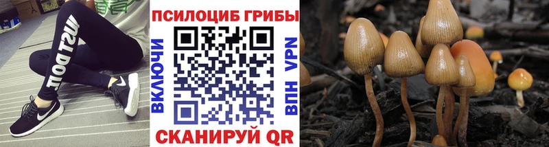 Псилоцибиновые грибы мухоморы  Нижний Новгород 